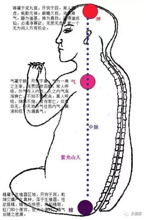 玄關竅位置|試論內丹學之「玄關一竅」